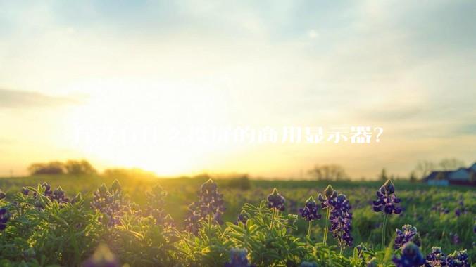 有没有什么投屏的商用显示器？